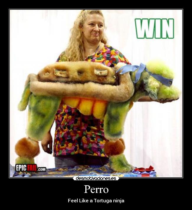 Perro - Feel Like a Tortuga ninja