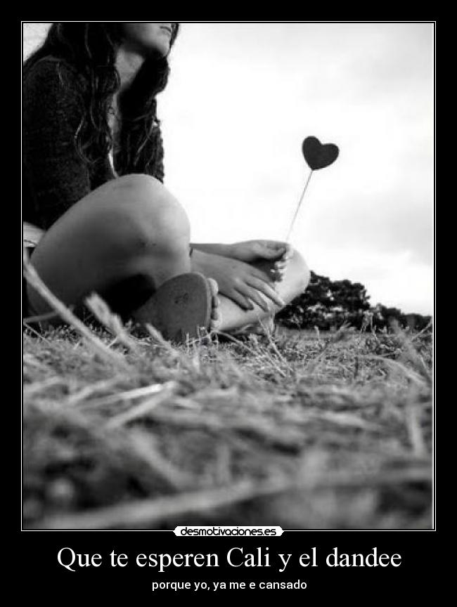 Que te esperen Cali y el dandee - porque yo, ya me e cansado