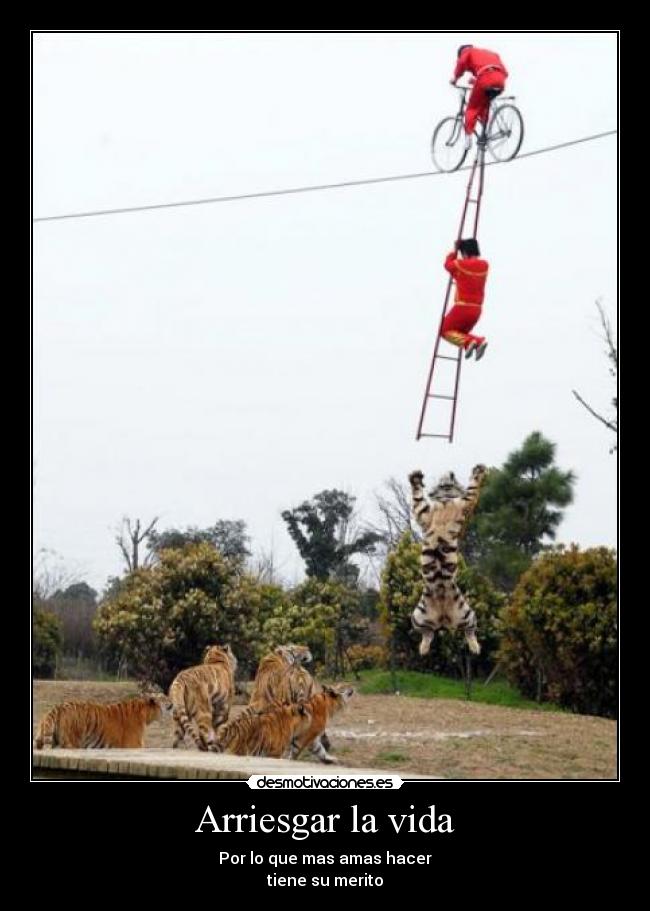 Arriesgar la vida - Por lo que mas amas hacer
tiene su merito