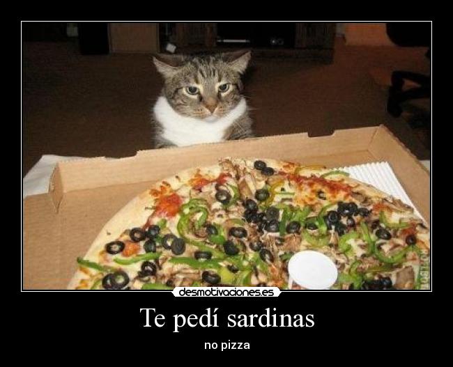 carteles gato sardinas walt pizza desmotivaciones