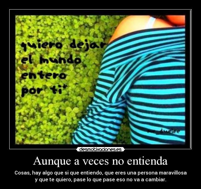 Aunque a veces no entienda - 