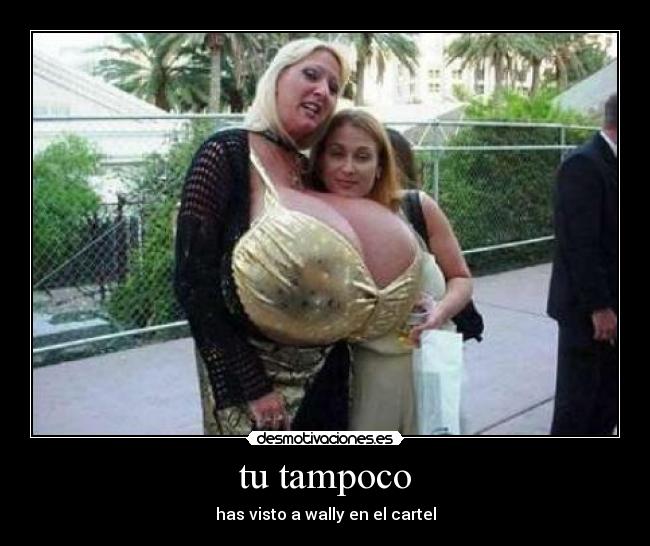 tu tampoco - has visto a wally en el cartel