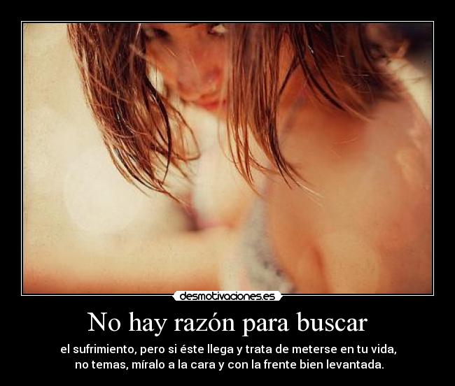 No hay razón para buscar -