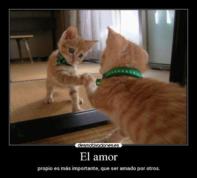 El amor -