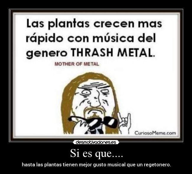 Si es que.... - hasta las plantas tienen mejor gusto musical que un regetonero.