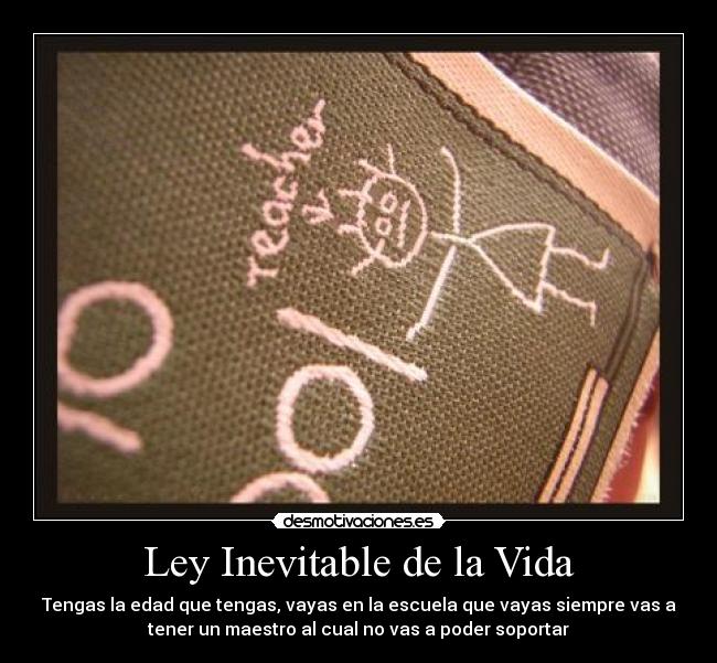 carteles vida vida profes escuelas desmotivaciones