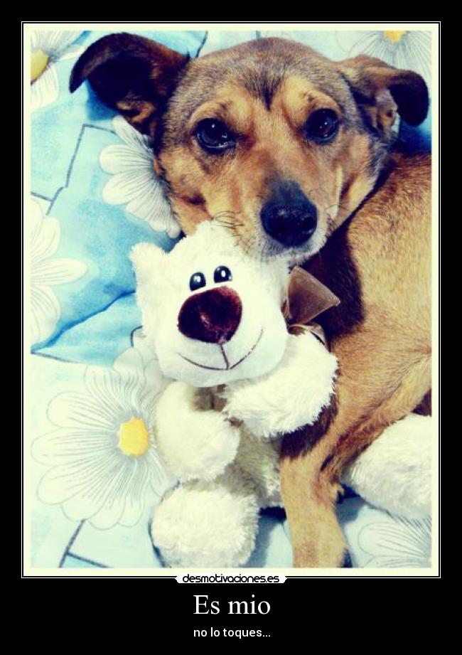 Es mio - no lo toques...