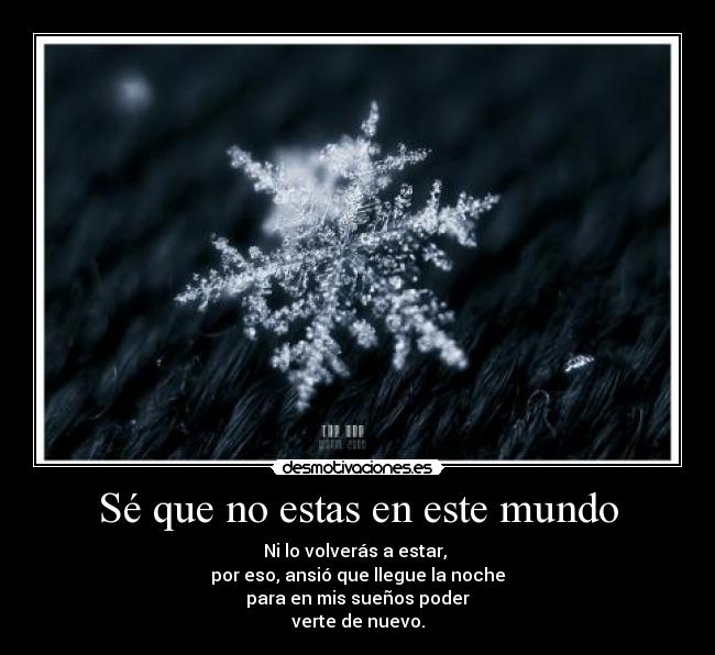 carteles mundo antropologhyy desmotivaciones