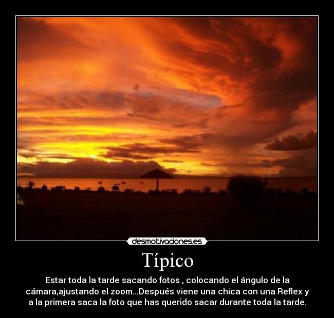Típico - Estar toda la tarde sacando fotos , colocando el ángulo de la
cámara,ajustando el zoom...Después viene una chica con una Reflex y
a la primera saca la foto que has querido sacar durante toda la tarde.