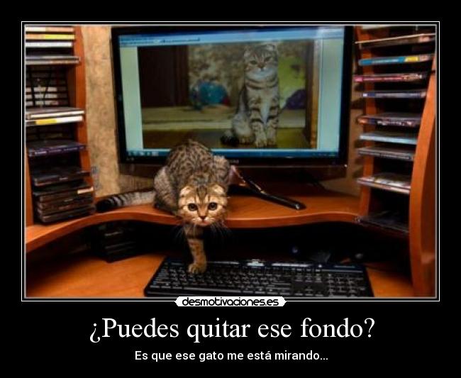 ¿Puedes quitar ese fondo? -