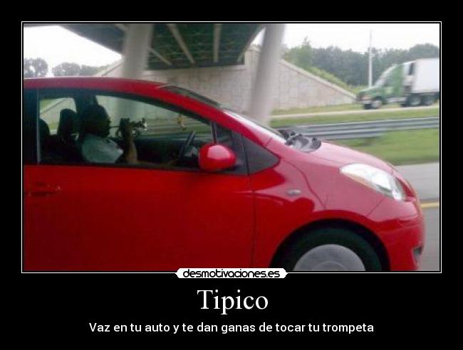Tipico -
