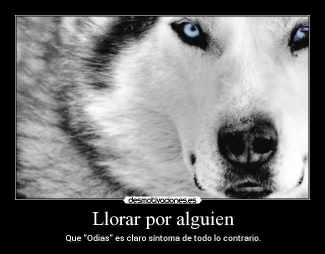 Llorar por alguien - Que Odias es claro síntoma de todo lo contrario.