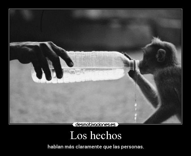 Los hechos - 