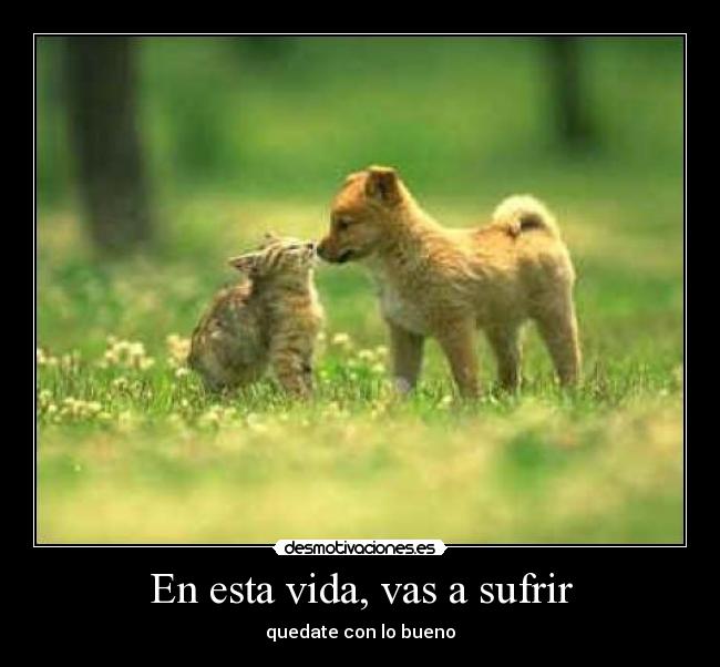 En esta vida, vas a sufrir - quedate con lo bueno