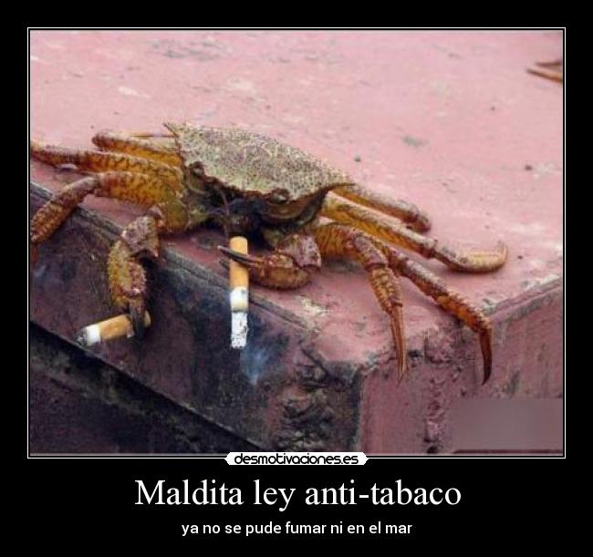 Maldita ley anti-tabaco - ya no se pude fumar ni en el mar