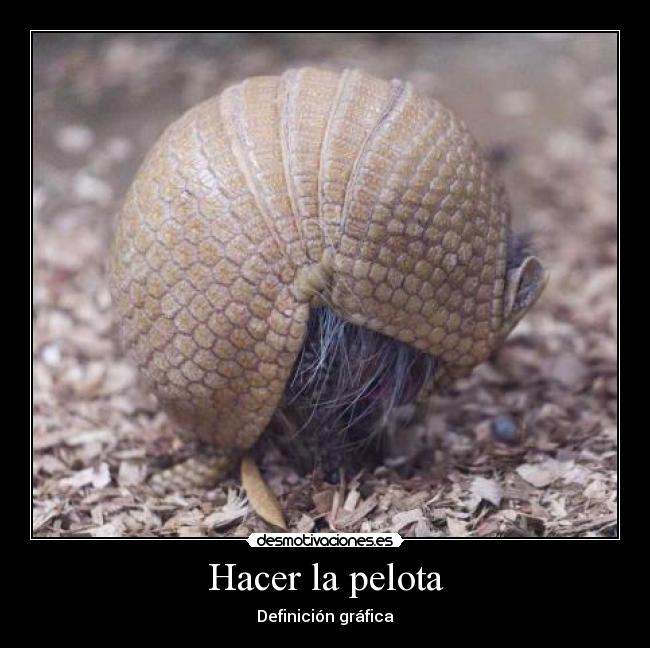 Hacer la pelota - Definición gráfica