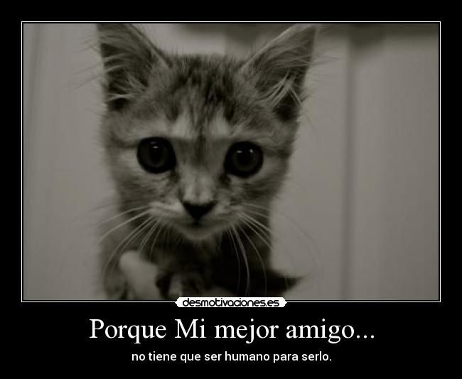 Porque Mi mejor amigo... -