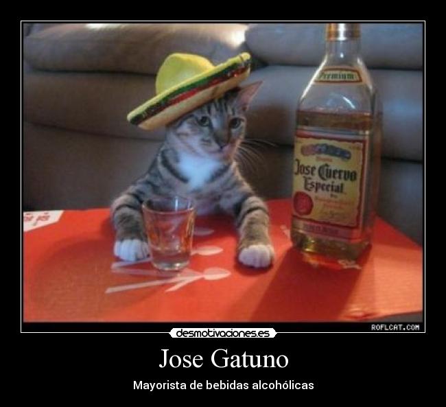 Jose Gatuno - Mayorista de bebidas alcohólicas