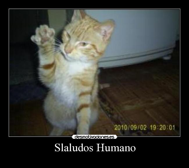 Slaludos Humano - 