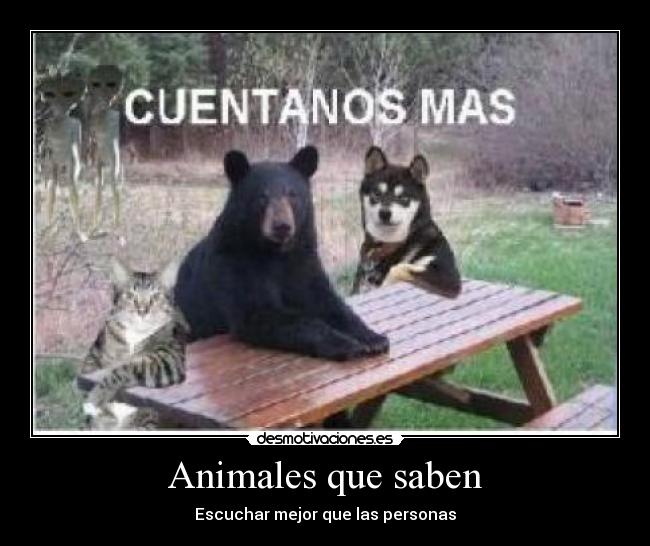 Animales que saben - 