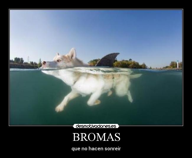 BROMAS - que no hacen sonreir