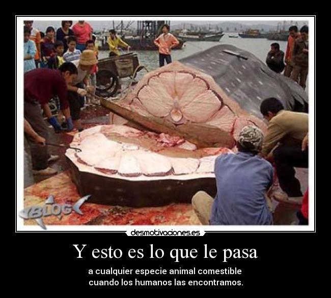 Y esto es lo que le pasa -