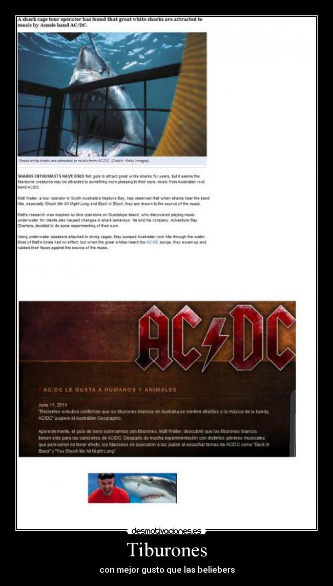 Tiburones - con mejor gusto que las beliebers