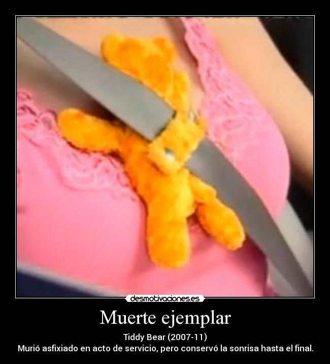 Muerte ejemplar - Tiddy Bear (2007-11)
Murió asfixiado en acto de servicio, pero conservó la sonrisa hasta el final.