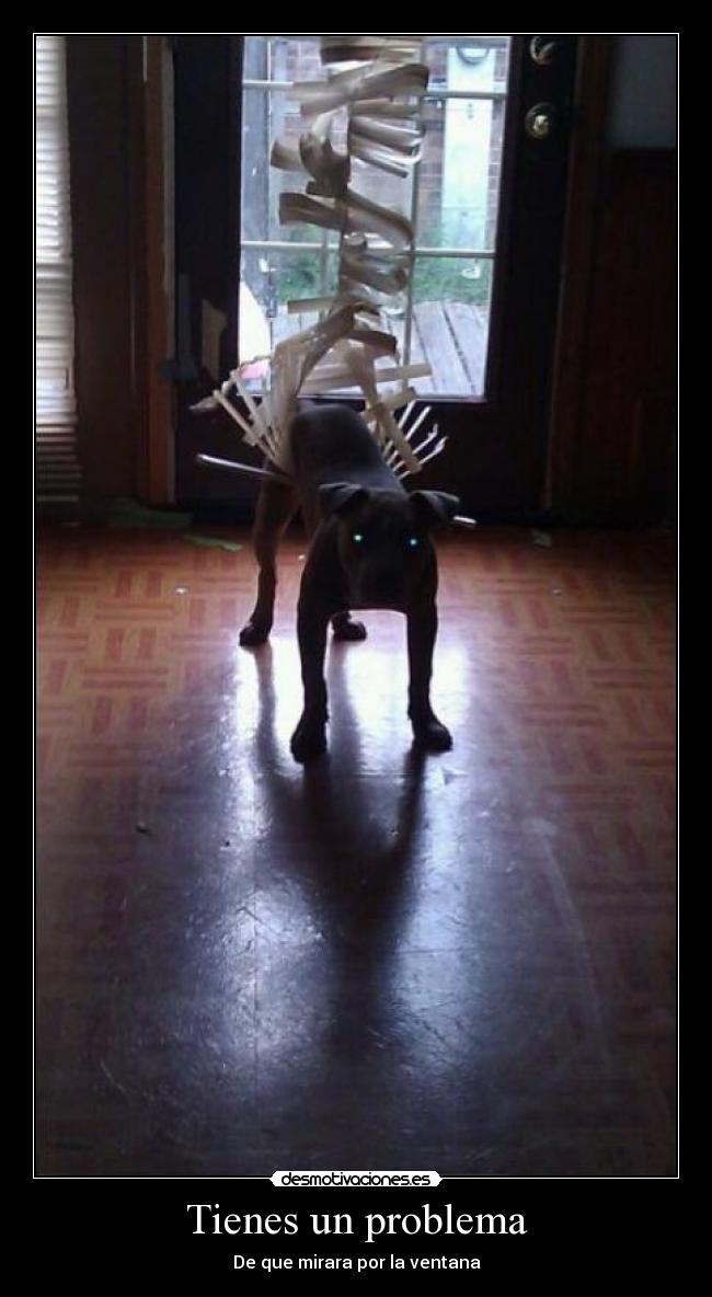 Tienes un problema - De que mirara por la ventana