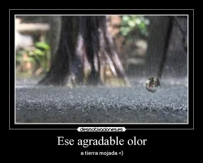 Ese agradable olor - a tierra mojada =)
