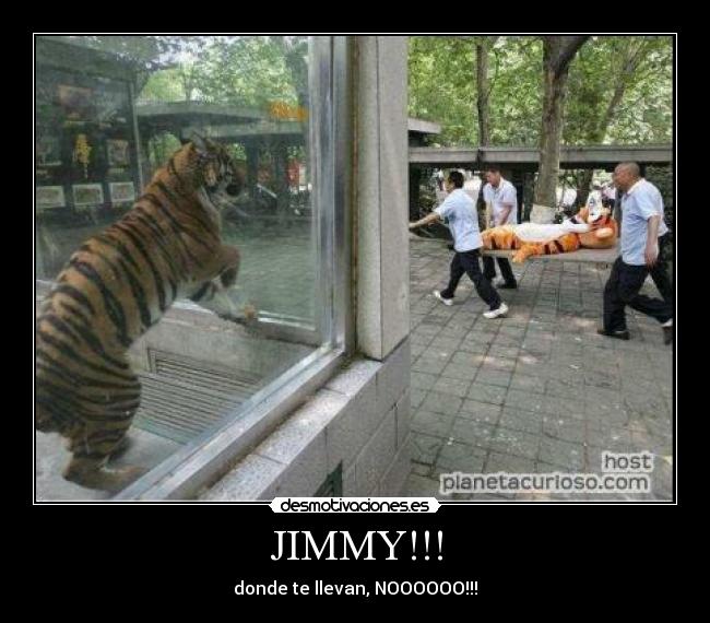 JIMMY!!! -
