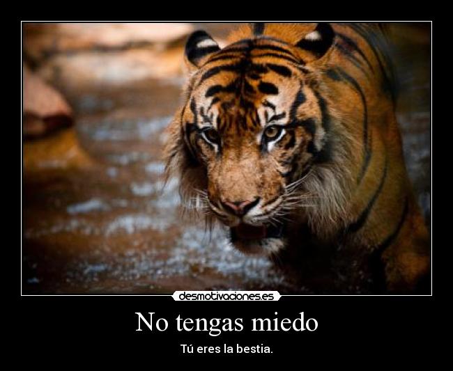 No tengas miedo - 