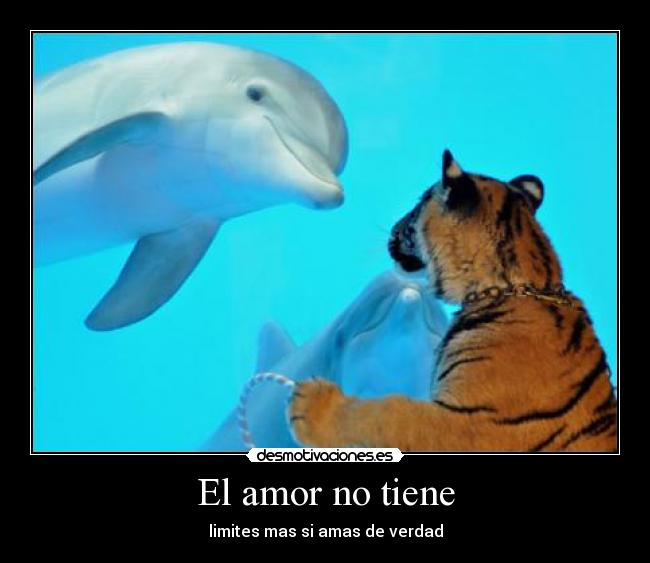 El amor no tiene - limites mas si amas de verdad