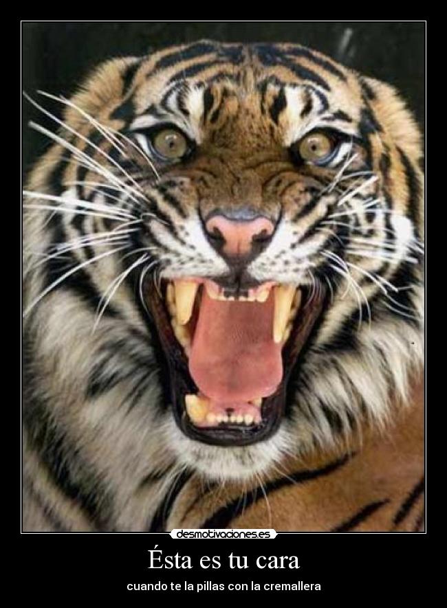 Ésta es tu cara - cuando te la pillas con la cremallera