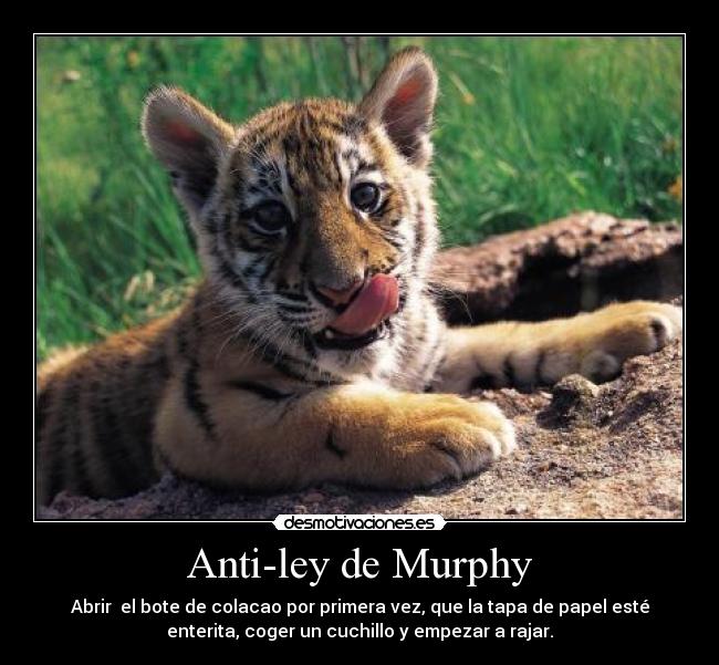 carteles antiley murphy desmotivaciones