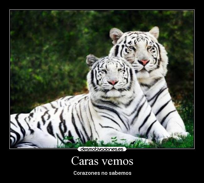 Caras vemos - Corazones no sabemos