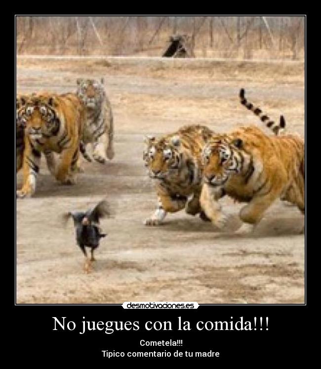 No juegues con la comida!!! - Cometela!!!
Tipico comentario de tu madre
