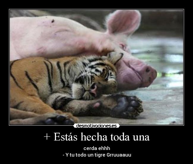 + Estás hecha toda una - cerda ehhh
- Y tu todo un tigre Grruuaauu