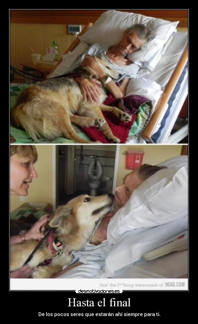 carteles bernardo ramos alvarez desmotivaciones