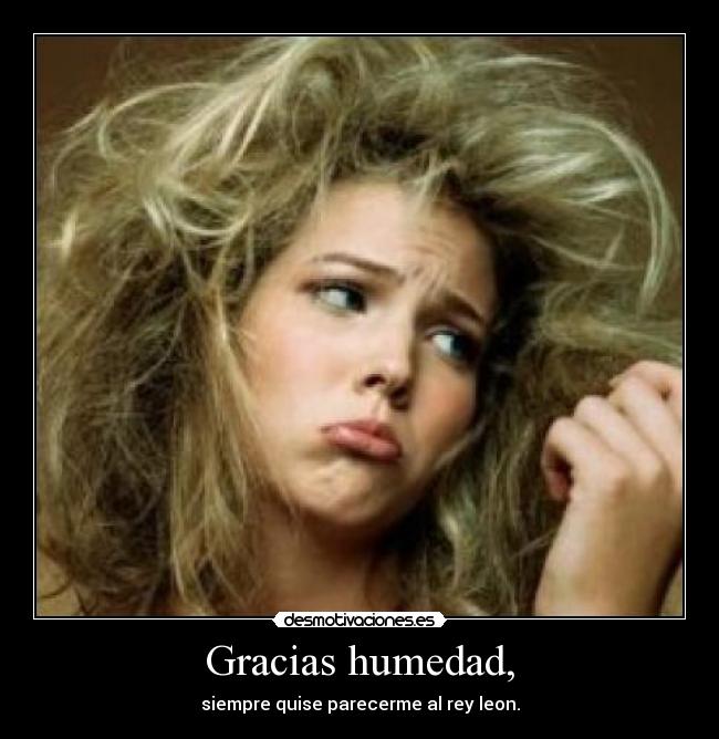 Gracias humedad, - 