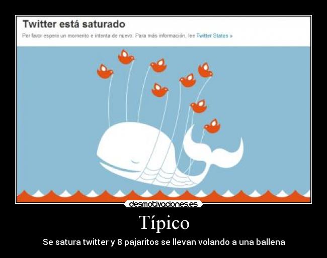 Típico - Se satura twitter y 8 pajaritos se llevan volando a una ballena