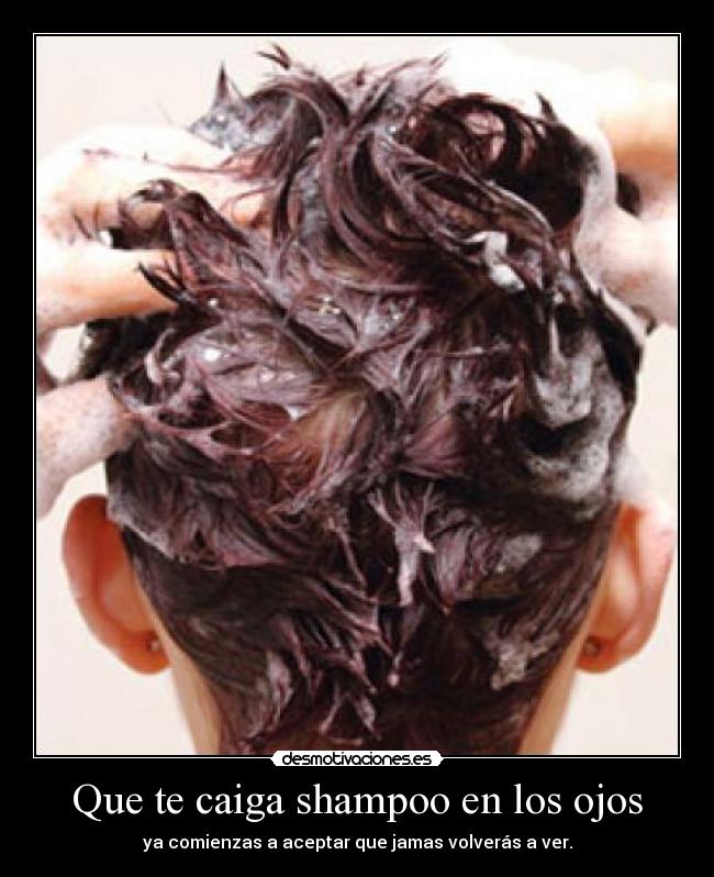 carteles chapo desmotivaciones