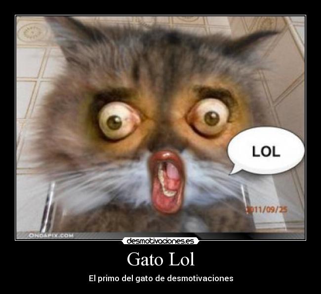 Gato Lol - El primo del gato de desmotivaciones