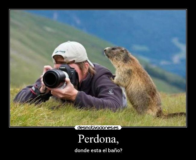 Perdona, - 