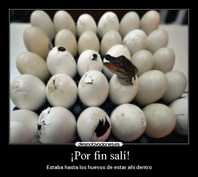 ¡Por fin salí! - 