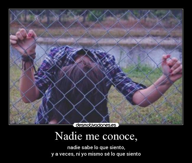 Nadie me conoce, Desmotivaciones