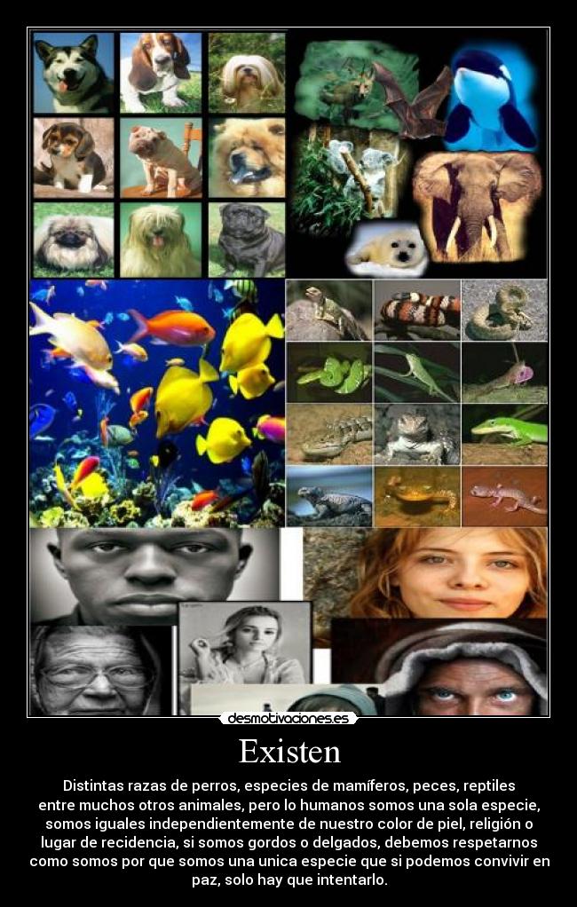 Existen - Distintas razas de perros, especies de mamíferos, peces, reptiles
entre muchos otros animales, pero lo humanos somos una sola especie,
somos iguales independientemente de nuestro color de piel, religión o
lugar de recidencia, si somos gordos o delgados, debemos respetarnos
como somos por que somos una unica especie que si podemos convivir en
paz, solo hay que intentarlo.