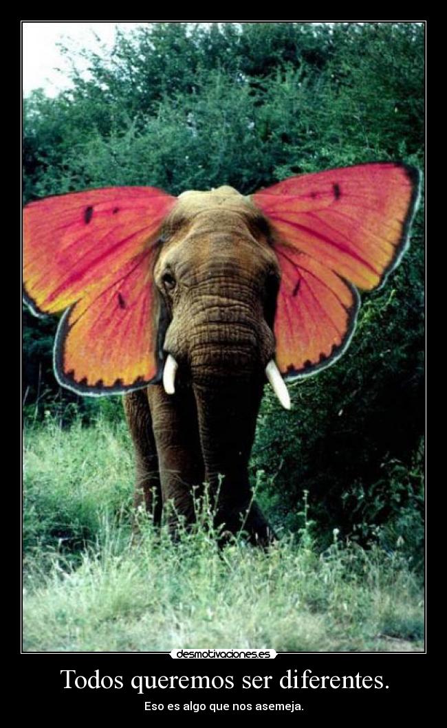 Todos queremos ser diferentes. -