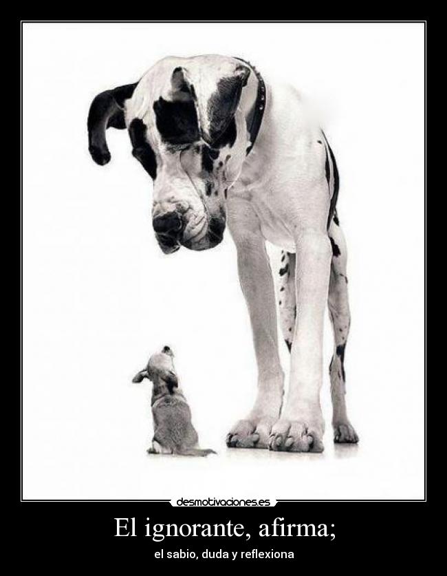 El ignorante, afirma; - el sabio, duda y reflexiona