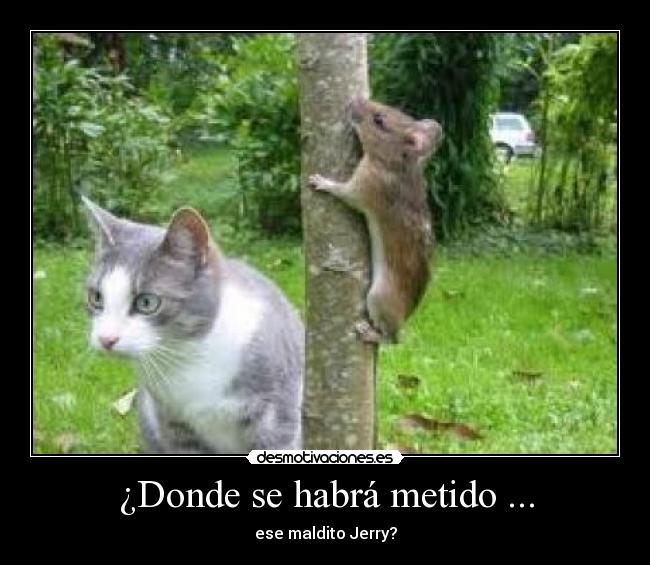 ¿Donde se habrá metido ... -